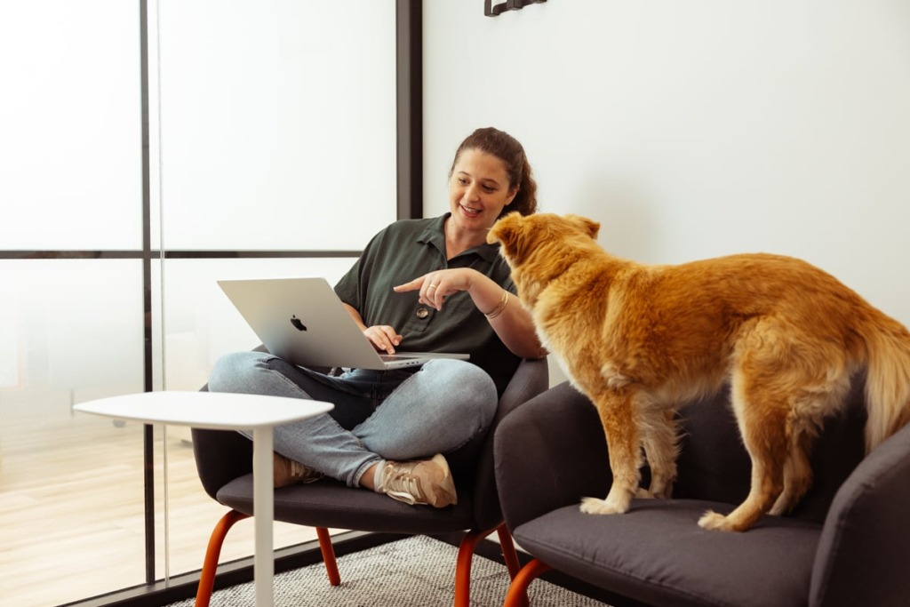 תמונה ממשרדי DriveNets‎, למדור משרות פיתוח גיקג'וב